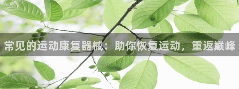 尊龙app最新版本官网：常见的运动康复器械：助你恢复
