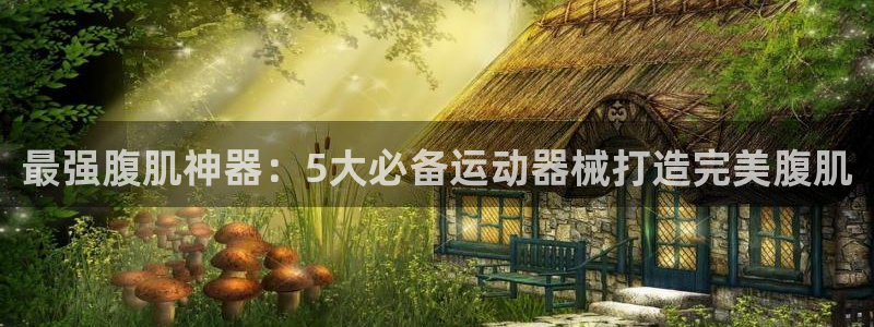 尊龙新版人生就是博!：最强腹肌神器：5大必备运动器械
