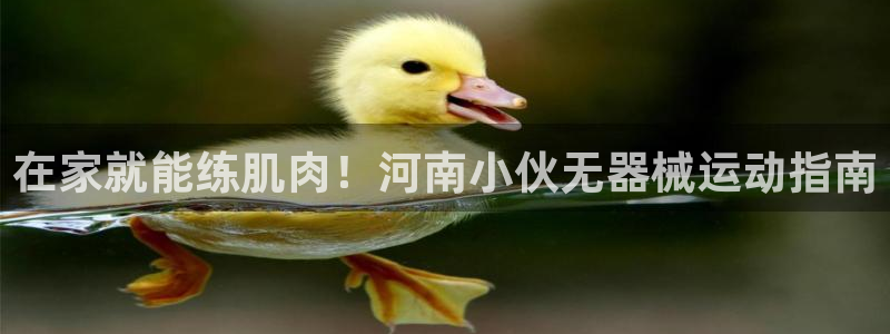 尊龙凯时有没有出不了款的情况：在家就能练肌肉！河南小