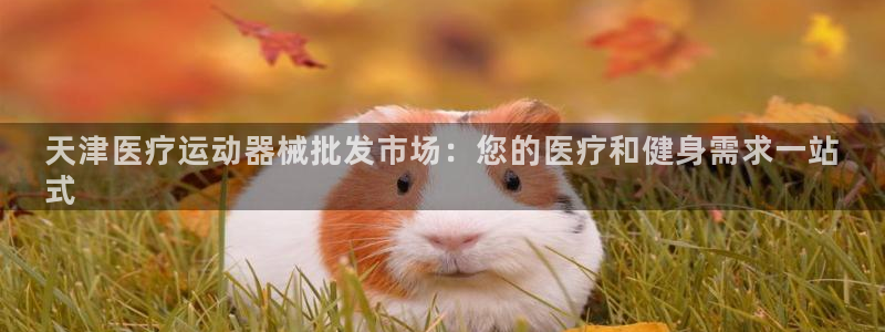 凯时a88：天津医疗运动器械批发市场：您的医疗和健身
