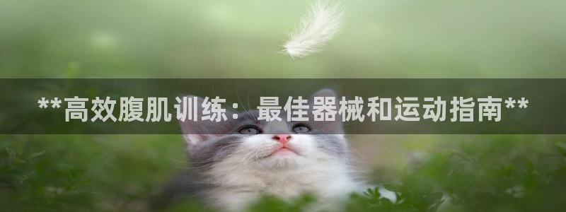 尊龙人生就是-首页：**高效腹肌训练：最佳器械和运动