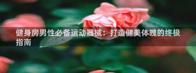 尊龙网站人生就是博：健身房男性必备运动器械：打造健美