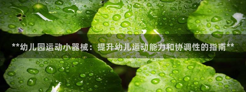 尊龙d88官网选RA来就送38：**幼儿园运动小器械