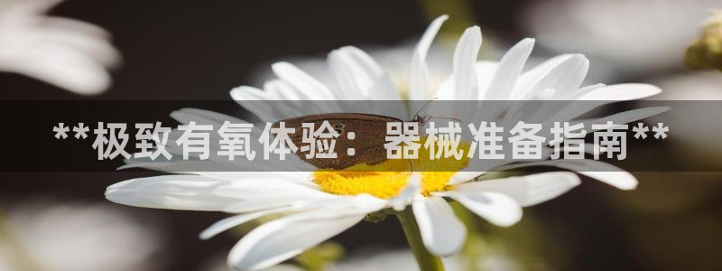 尊龙app注册官网：**极致有氧体验：器械准备指南*