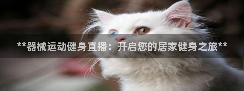 尊龙凯时-人生就是博中国官网最新：**器械运动健身直