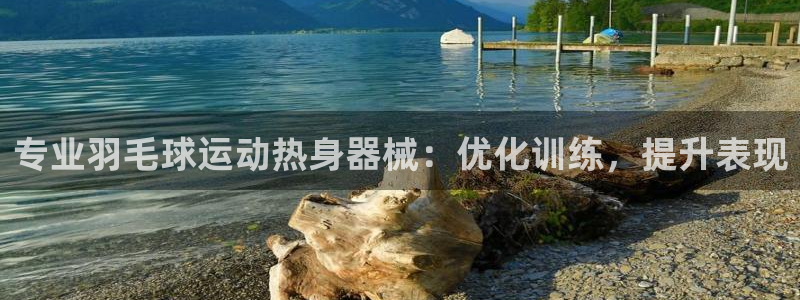 最新凯时官网网址：专业羽毛球运动热身器械：优化训练，