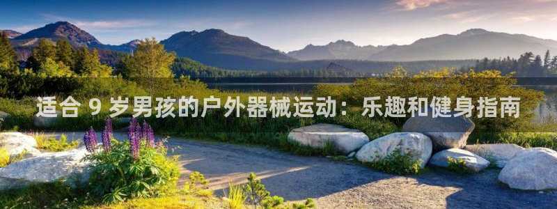 尊龙官网免费下载安装：适合 9 岁男孩的户外器械运动
