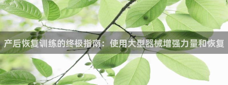尊龙凯时d5138：产后恢复训练的终极指南：使用大型