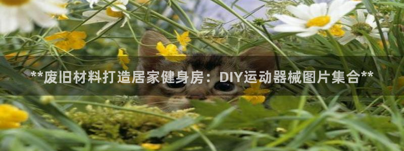尊龙d88官网选RA来就送38：**废旧材料打造居家