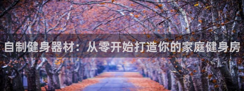 凯时官网手机版首页：自制健身器材：从零开始打造你的家