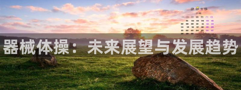 尊龙凯时下载官方正版：器械体操：未来展望与发展趋势