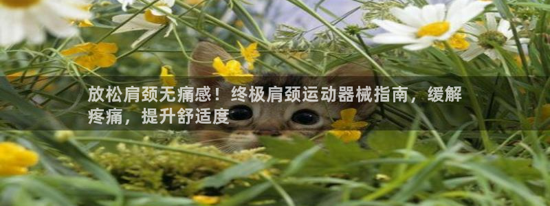 z6尊龙凯时旗舰厅：放松肩颈无痛感！终极肩颈运动器械