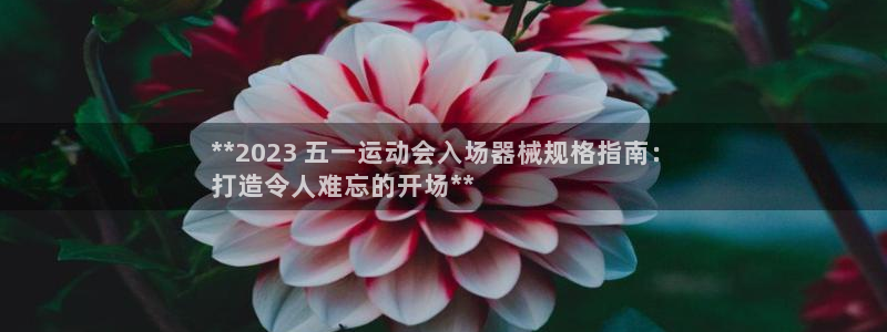 尊龙注册码：**2023 五一运动会入场器械规格指南