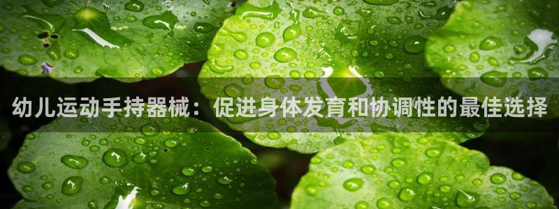 尊龙凯时投诉最狠的方法：幼儿运动手持器械：促进身体发
