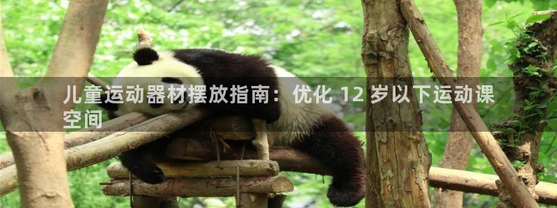 尊龙一人生就是搏：儿童运动器材摆放指南：优化 12 