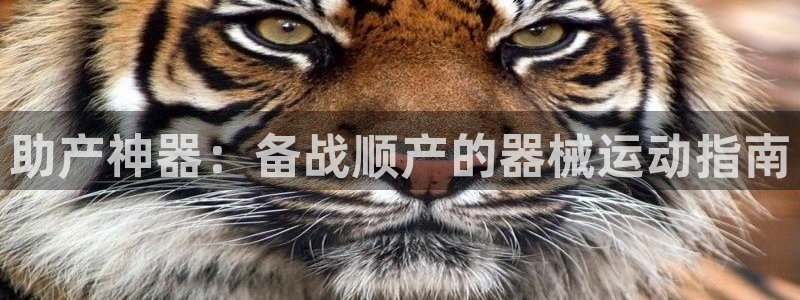 尊龙凯时电竞：助产神器：备战顺产的器械运动指南