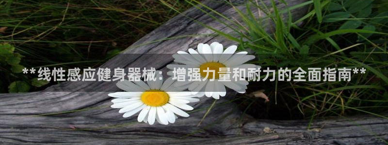 尊龙凯时平台入口：**线性感应健身器械：增强力量和耐