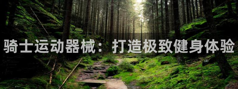 尊龙凯时白家乐Abb下载：骑士运动器械：打造极致健身