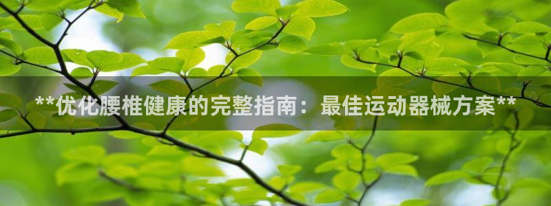 尊龙凯时 人生就是搏首页：**优化腰椎健康的完整指南