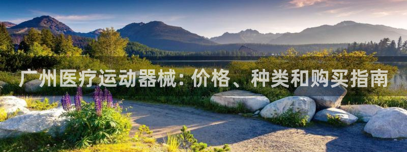 尊龙在线登录官网：广州医疗运动器械: 价格、种类和购
