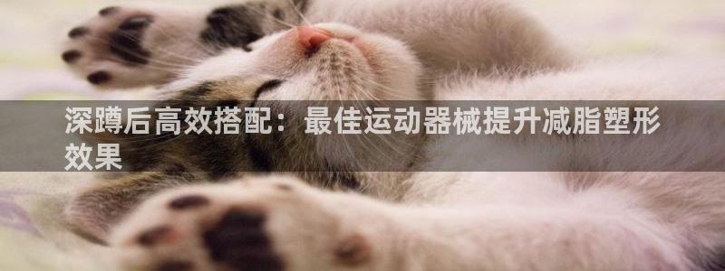 尊龙旗舰厅app：深蹲后高效搭配：最佳运动器械提升减
