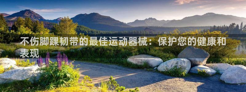 凯时国际娱乐官方网址：不伤脚踝韧带的最佳运动器械：保