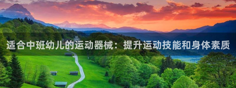 凯时ag旗舰厅网址是什么：适合中班幼儿的运动器械：提