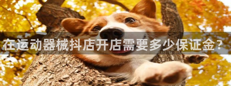 尊龙ag：在运动器械抖店开店需要多少保证金？
