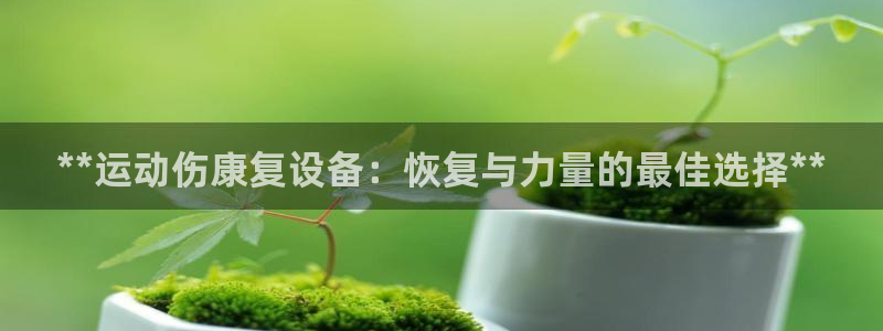 尊龙凯时人生就是博·(中国)官网：**运动伤康复设备