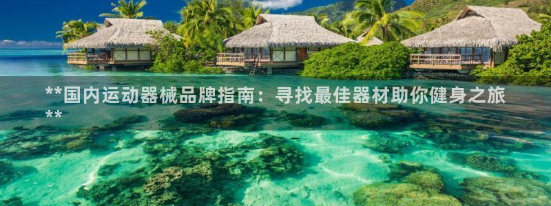 尊龙人生就是博登录网址下载：**国内运动器械品牌指南