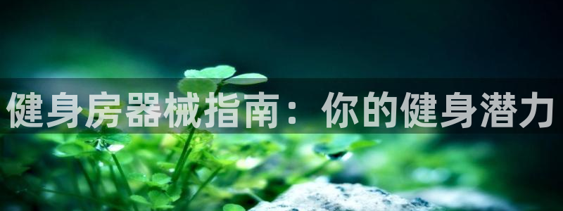 z6com尊龙凯时：健身房器械指南：你的健身潜力