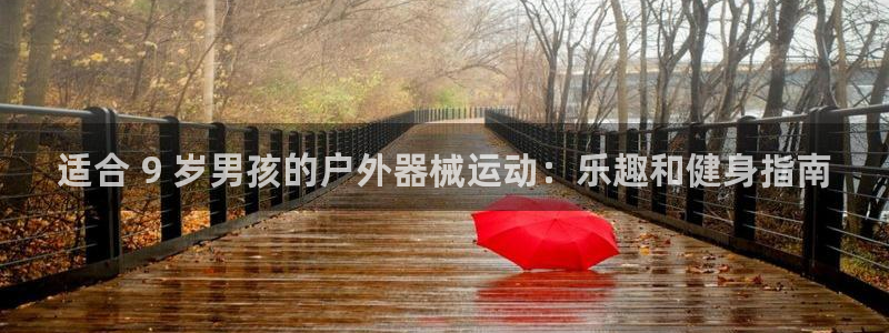 尊龙人生就是博网站下载：适合 9 岁男孩的户外器械运
