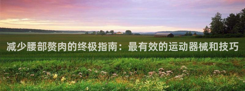 尊龙网平台：减少腰部赘肉的终极指南：最有效的运动器械
