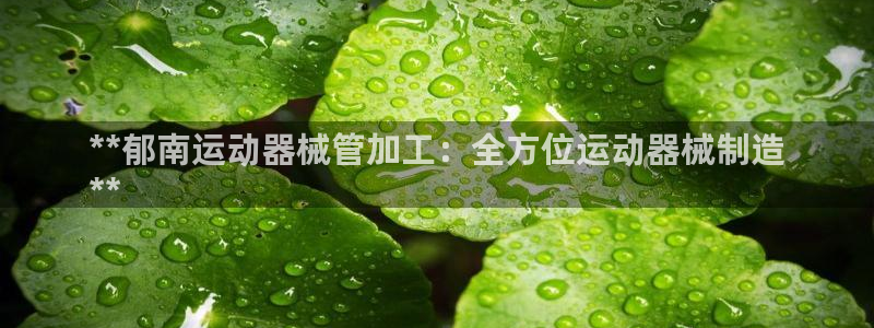 尊龙AG旗舰店：**郁南运动器械管加工：全方位运动器