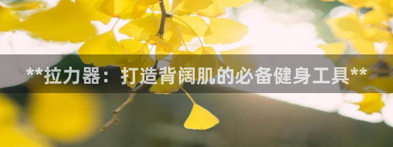 尊龙d88官网选RA来就送38：**拉力器：打造背阔