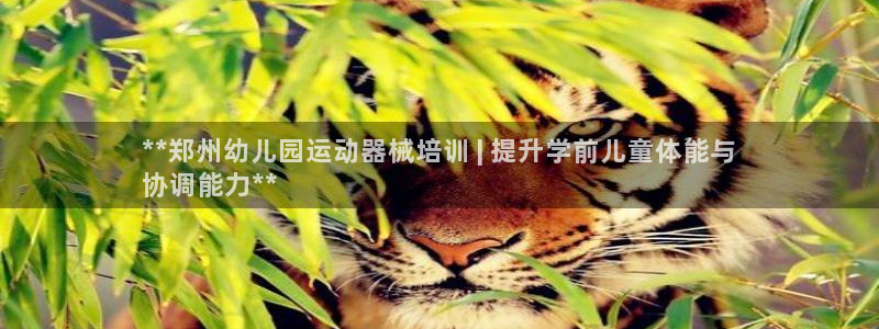 尊龙人生就是博旧：**郑州幼儿园运动器械培训 | 提
