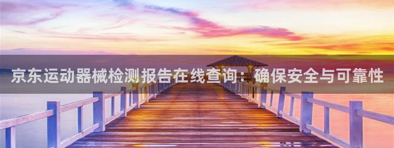 尊龙 am i blue：京东运动器械检测报告在线查