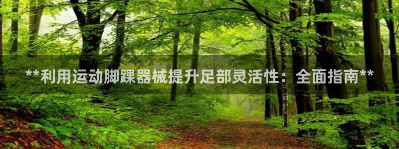 尊龙 国外：**利用运动脚踝器械提升足部灵活性：全面