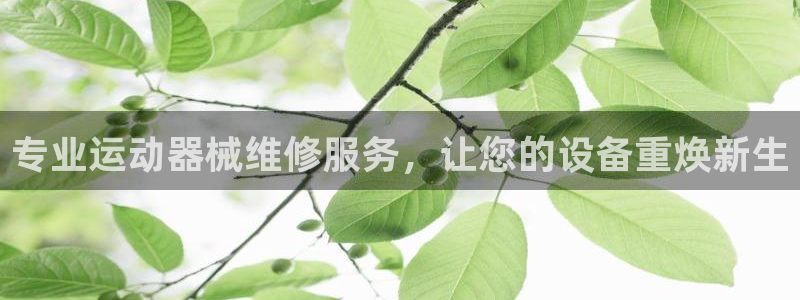 有人在凯时赢过钱吗：专业运动器械维修服务，让您的设备