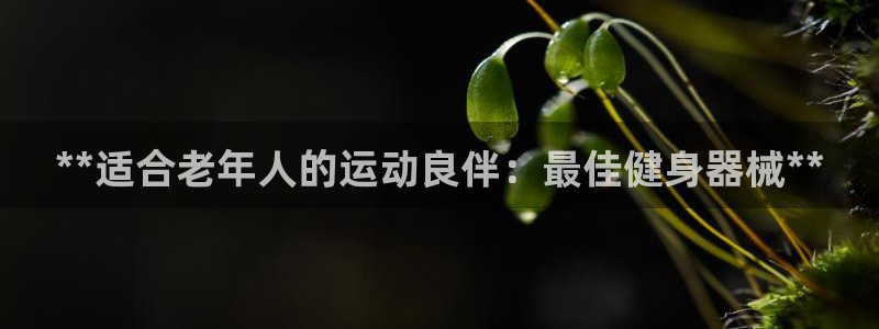 尊龙凯时平台信誉怎样：**适合老年人的运动良伴：最佳