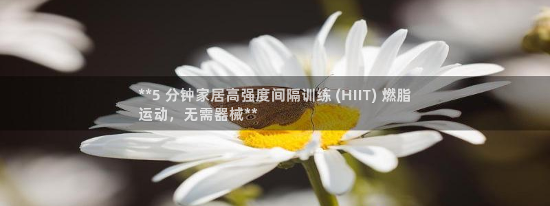 尊龙登录首页：**5 分钟家居高强度间隔训练 (HI
