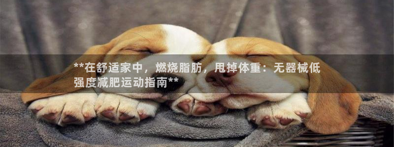 尊龙目前情况：**在舒适家中，燃烧脂肪，甩掉体重：无