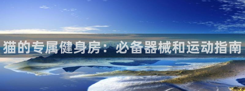 尊龙凯时是大平台吗：猫的专属健身房：必备器械和运动指