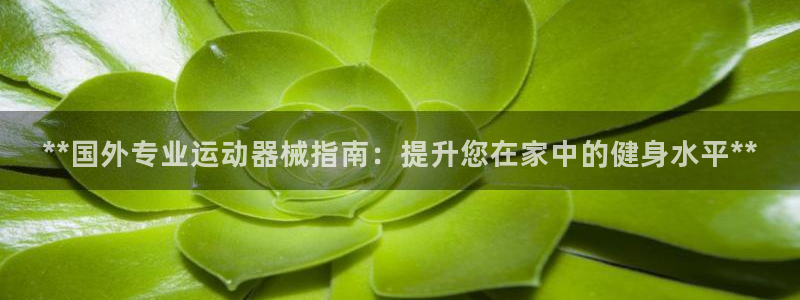尊龙凯时合法吗?：**国外专业运动器械指南：提升您在