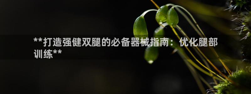 凯时首页地址：**打造强健双腿的必备器械指南：优化腿