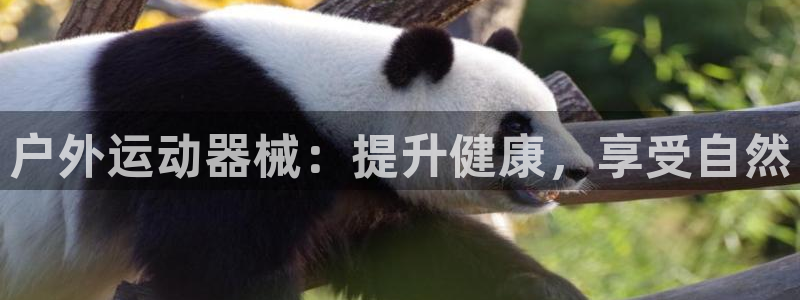 尊龙凯时 - 人生就是搏!提款怎么样：户外运动器械：