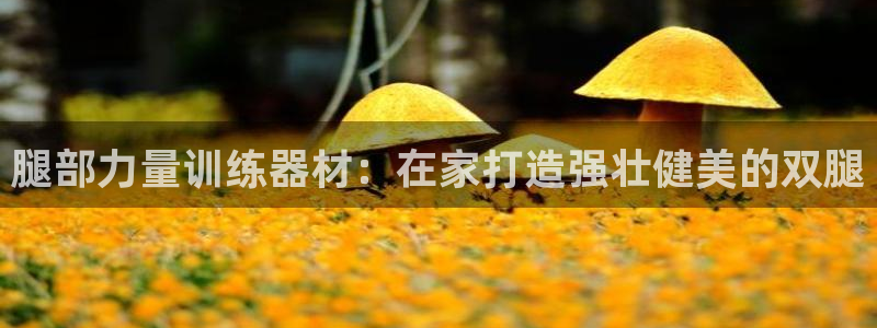 尊龙凯时人生就是搏技术实力：腿部力量训练器材：在家打