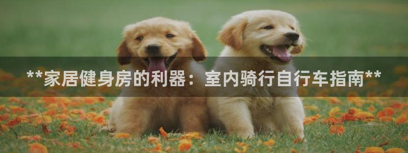 尊龙凯时俱乐部：**家居健身房的利器：室内骑行自行车