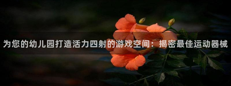 旧版尊龙人生就是博下载：为您的幼儿园打造活力四射的游