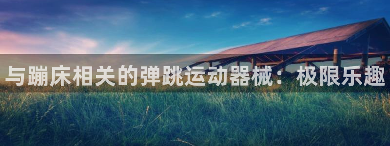 尊龙体育怎么样：与蹦床相关的弹跳运动器械：极限乐趣